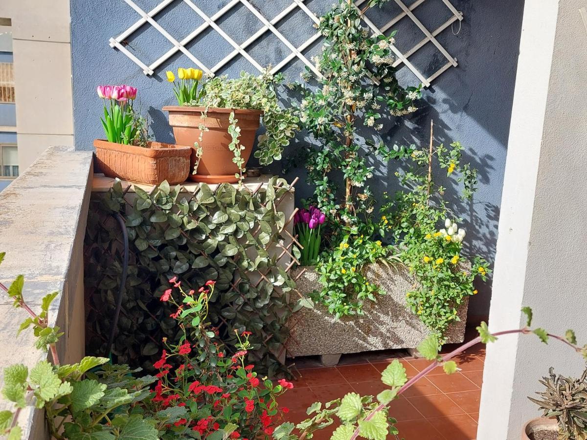 קליארי Bellavista Apartment מראה חיצוני תמונה