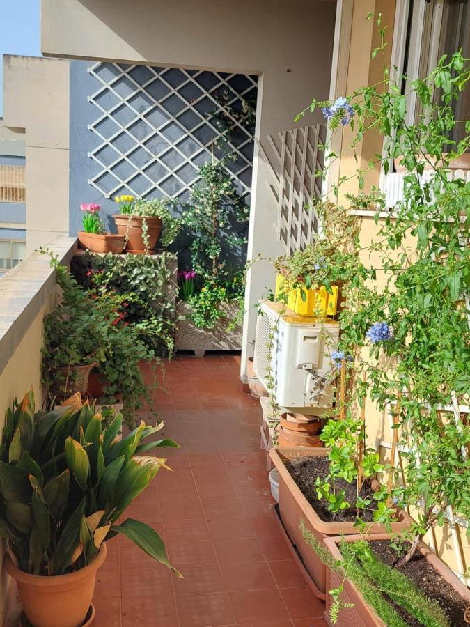 קליארי Bellavista Apartment מראה חיצוני תמונה